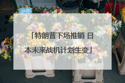 特朗普下场推销 日本未来战机计划生变