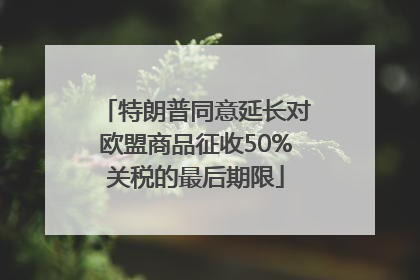 特朗普同意延长对欧盟商品征收50%关税的最后期限