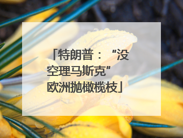 特朗普：“没空理马斯克” 欧洲抛橄榄枝