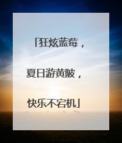 狂炫蓝莓，夏日游黄陂，快乐不宕机