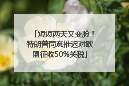 短短两天又变脸！特朗普同意推迟对欧盟征收50%关税