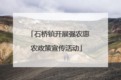石桥镇开展强农惠农政策宣传活动