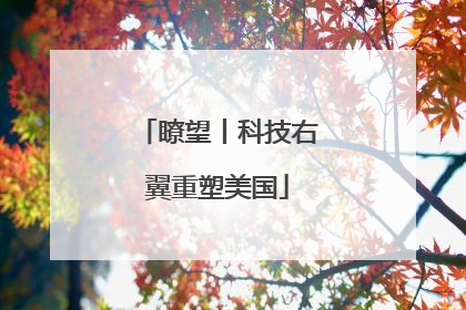 瞭望丨科技右翼重塑美国