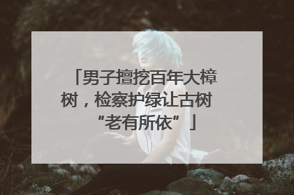 男子擅挖百年大樟树，检察护绿让古树“老有所依”
