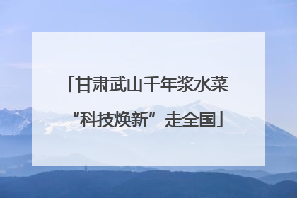 甘肃武山千年浆水菜“科技焕新”走全国