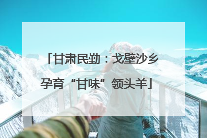 甘肃民勤：戈壁沙乡孕育“甘味”领头羊