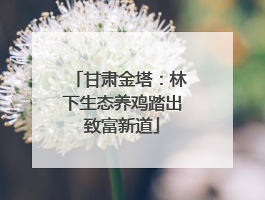 甘肃金塔：林下生态养鸡踏出致富新道
