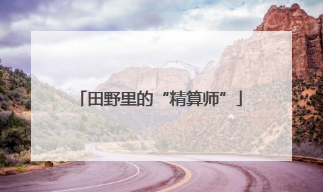 田野里的“精算师”