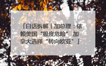 白话拆解丨加总理：依赖美国“极度危险” 加拿大选择“转向欧亚”