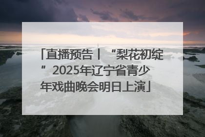 直播预告丨“梨花初绽”2025年辽宁省青少年戏曲晚会明日上演