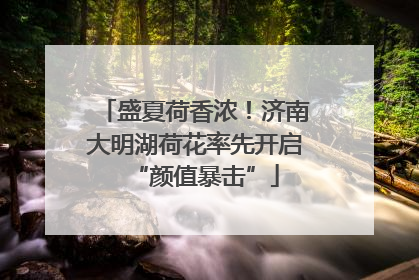 盛夏荷香浓！济南大明湖荷花率先开启“颜值暴击”