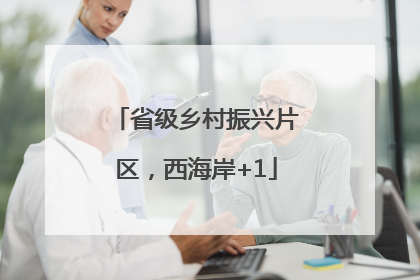 省级乡村振兴片区，西海岸+1