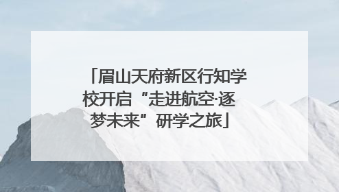 眉山天府新区行知学校开启“走进航空·逐梦未来”研学之旅