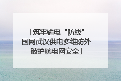 筑牢输电“防线” 国网武汉供电多维防外破护航电网安全
