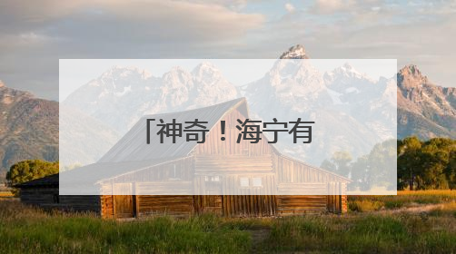 神奇！海宁有座“藏”在森林里的实验室