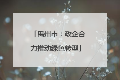 禹州市：政企合力推动绿色转型