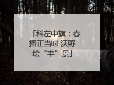 科左中旗：春播正当时 沃野绘“丰”景