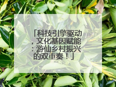 科技引擎驱动，文化基因赋能：游仙乡村振兴的双重奏！