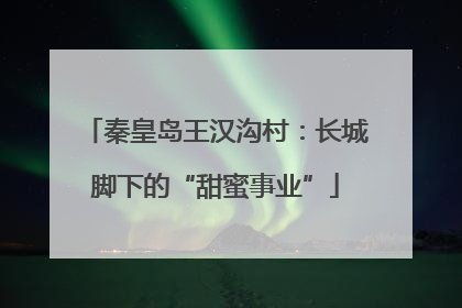 秦皇岛王汉沟村：长城脚下的“甜蜜事业”