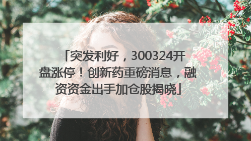 突发利好，300324开盘涨停！创新药重磅消息，融资资金出手加仓股揭晓