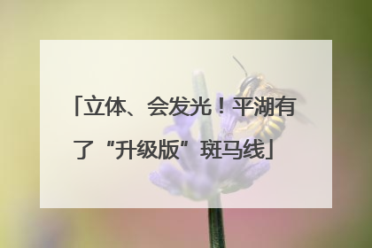 立体、会发光！平湖有了“升级版”斑马线