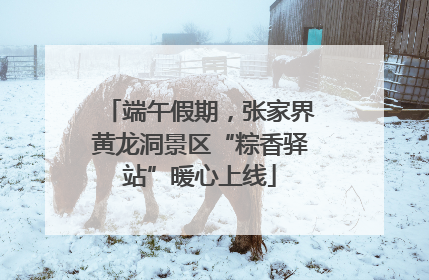 端午假期，张家界黄龙洞景区“粽香驿站”暖心上线