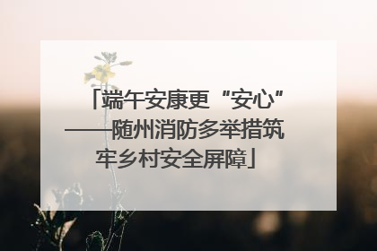 端午安康更“安心”——随州消防多举措筑牢乡村安全屏障