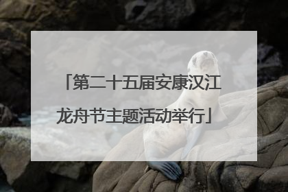 第二十五届安康汉江龙舟节主题活动举行