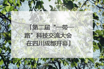 第二届“一带一路”科技交流大会在四川成都开幕