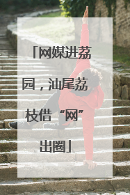 网媒进荔园，汕尾荔枝借“网”出圈
