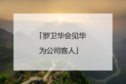 罗卫华会见华为公司客人