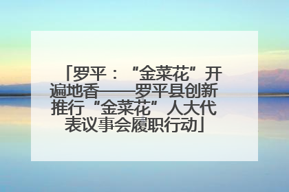 罗平：“金菜花”开遍地香——罗平县创新推行“金菜花”人大代表议事会履职行动