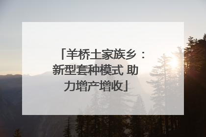 羊桥土家族乡：新型套种模式 助力增产增收