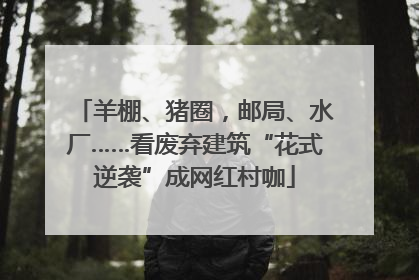 羊棚、猪圈，邮局、水厂……看废弃建筑“花式逆袭”成网红村咖
