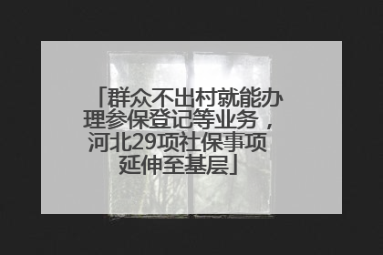 群众不出村就能办理参保登记等业务，河北29项社保事项延伸至基层