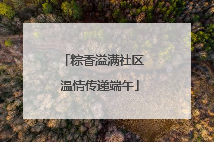 粽香溢满社区 温情传递端午