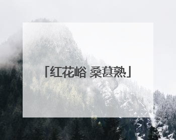 红花峪 桑葚熟