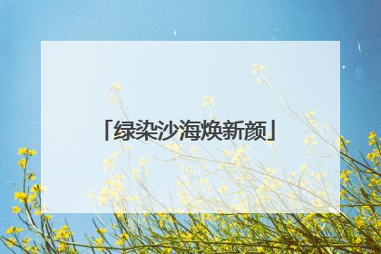 绿染沙海焕新颜