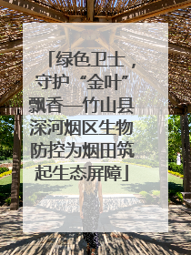 绿色卫士，守护“金叶”飘香—竹山县深河烟区生物防控为烟田筑起生态屏障