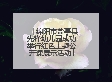 绵阳市盐亭县先锋幼儿园成功举行红色主题公开课展示活动
