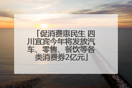 促消费惠民生 四川宜宾今年将发放汽车、零售、餐饮等各类消费券2亿元