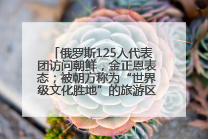 俄罗斯125人代表团访问朝鲜，金正恩表态；被朝方称为“世界级文化胜地”的旅游区，将首次接待俄游客