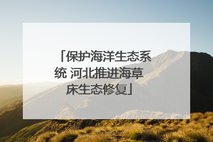 保护海洋生态系统 河北推进海草床生态修复