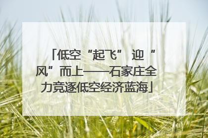 低空“起飞” 迎“风”而上——石家庄全力竞逐低空经济蓝海
