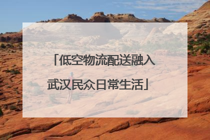 低空物流配送融入武汉民众日常生活