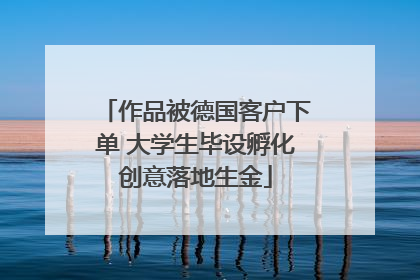 作品被德国客户下单 大学生毕设孵化创意落地生金