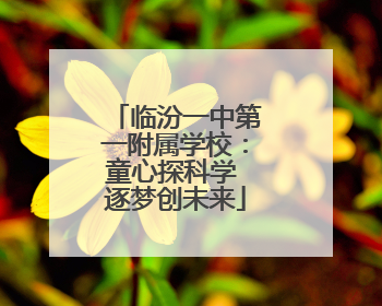 临汾一中第一附属学校：童心探科学 逐梦创未来