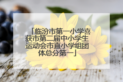 临汾市第一小学喜获市第二届中小学生运动会市直小学组团体总分第一