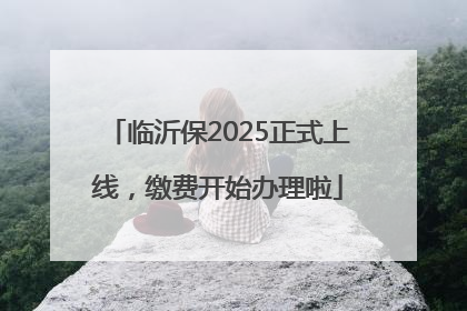 临沂保2025正式上线，缴费开始办理啦