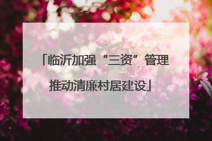 临沂加强“三资”管理 推动清廉村居建设